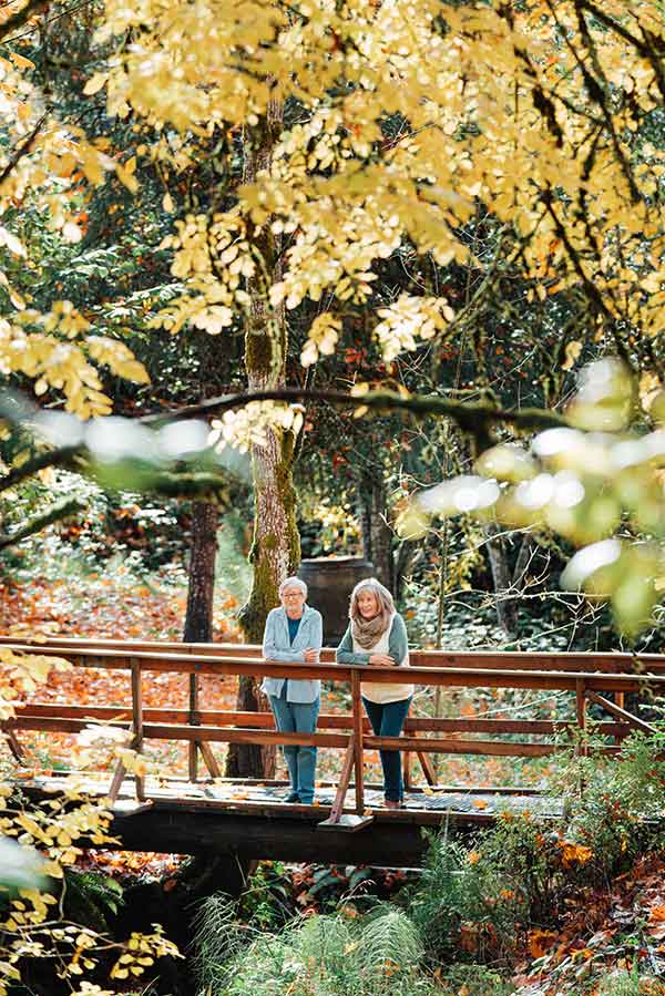Two people stand on a bridge surrounded by trees