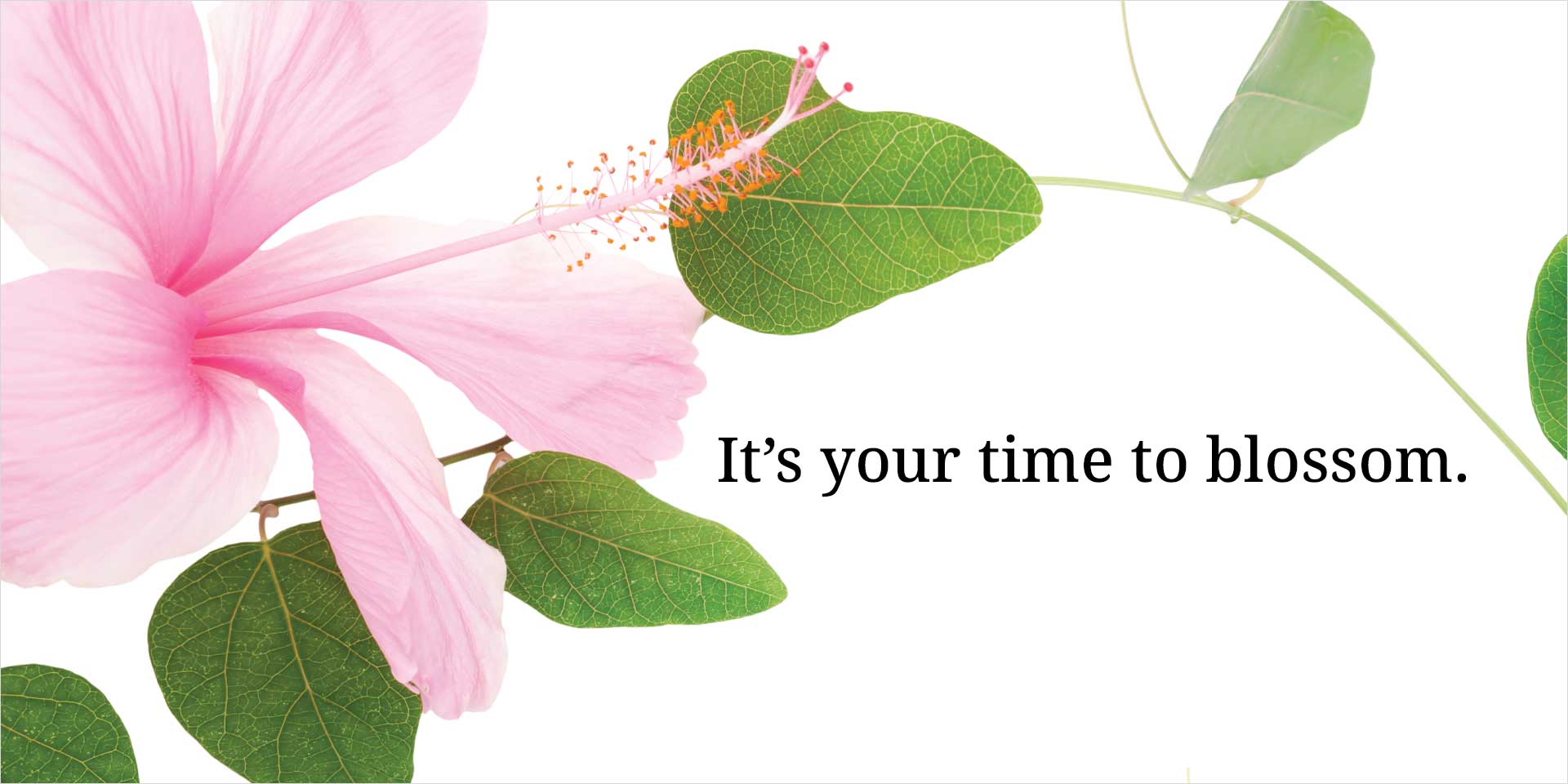 It's your time to blossom.